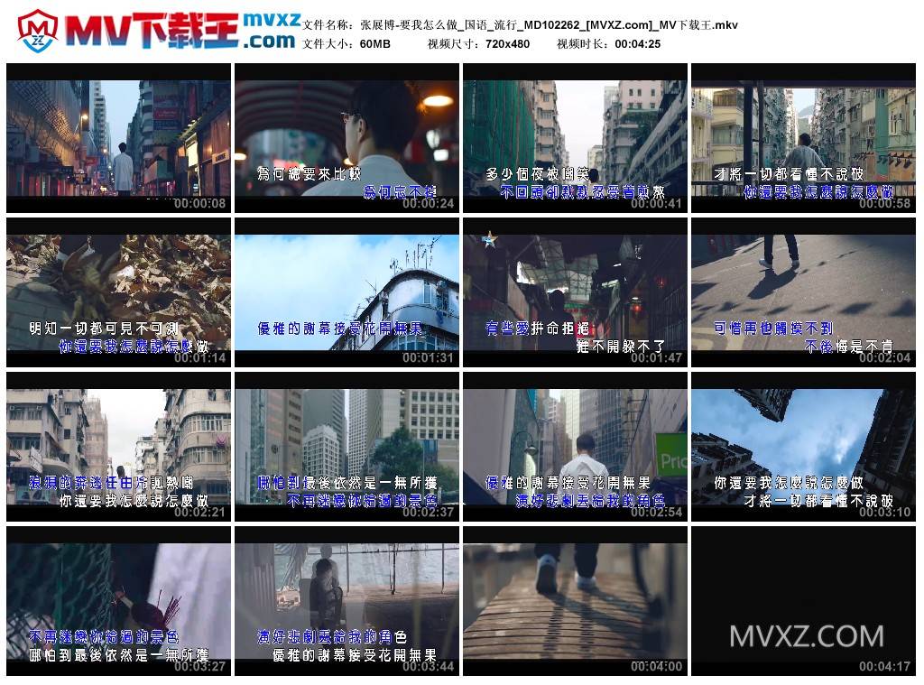 张展博-要我怎么做_国语_流行_MD102262